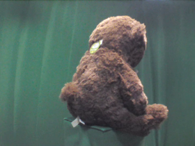 225 Degrees _ Picture 9 _ Brown Teddy Bear.png